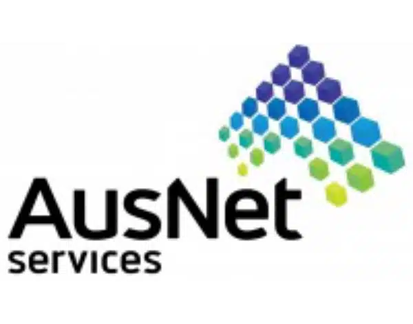 Ausnet services logo